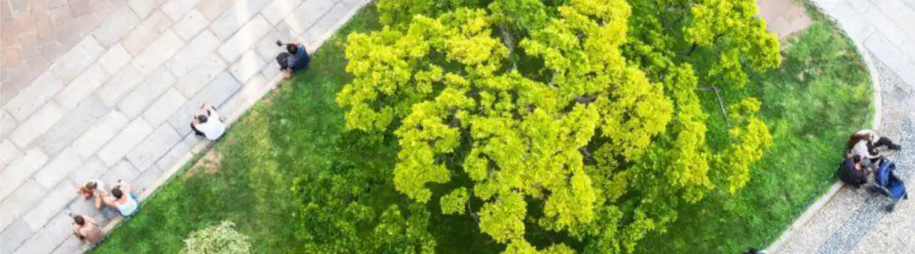 Benessere, verde urbano e salute globale