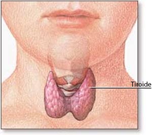 malattie della tiroide